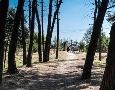 parkhotelpineta it offerta-over-65-hotel-sul-mare-a-cervia 018
