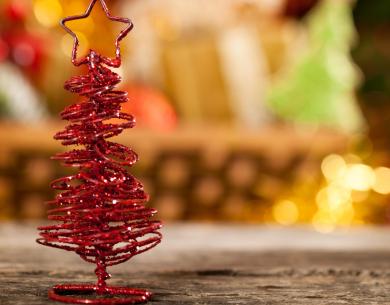 parkhotelpineta en christmas-offer-in-tagliata-di-cervia-with-lunch-included 019