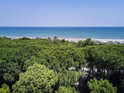 parkhotelpineta en single-rooms-special-offer-in-a-hotel-in-cervia 014