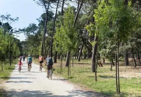 parkhotelpineta it home 020
