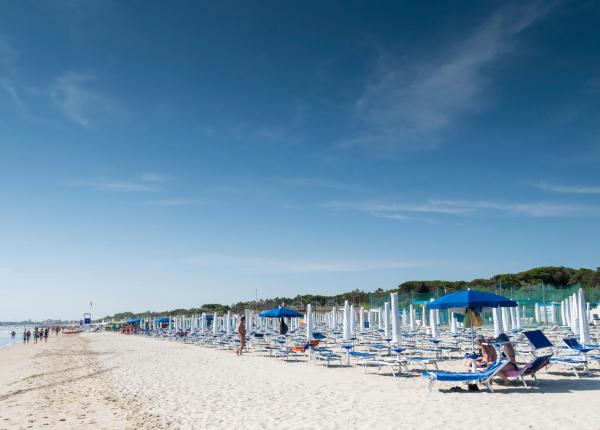 parkhotelpineta en single-rooms-special-offer-in-a-hotel-in-cervia 010