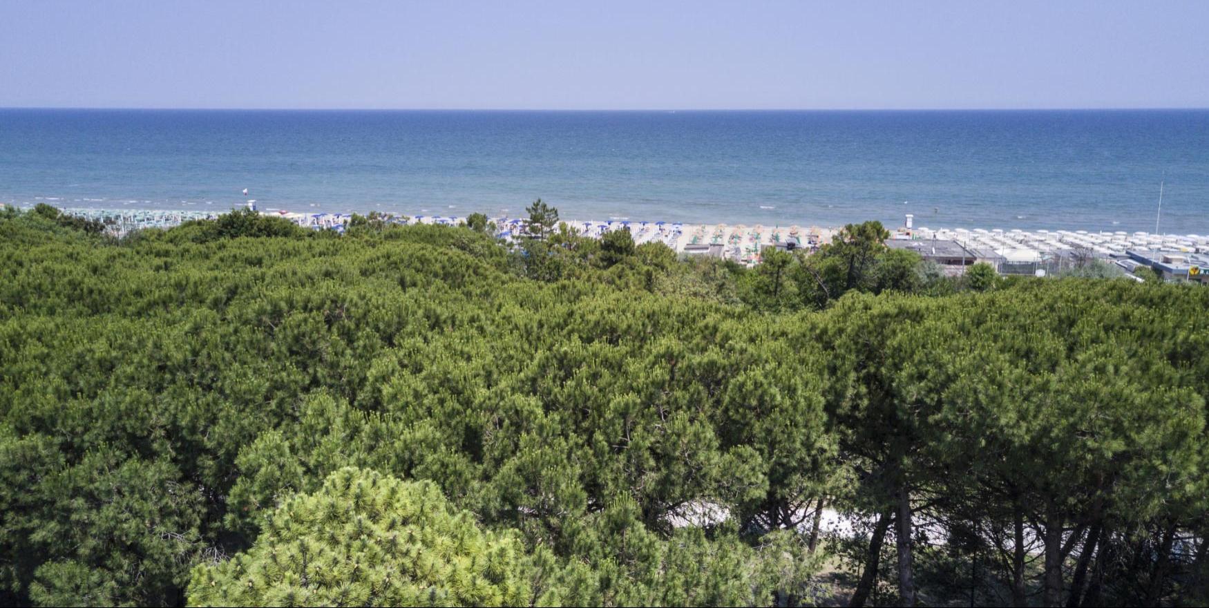 parkhotelpineta it contatti 008